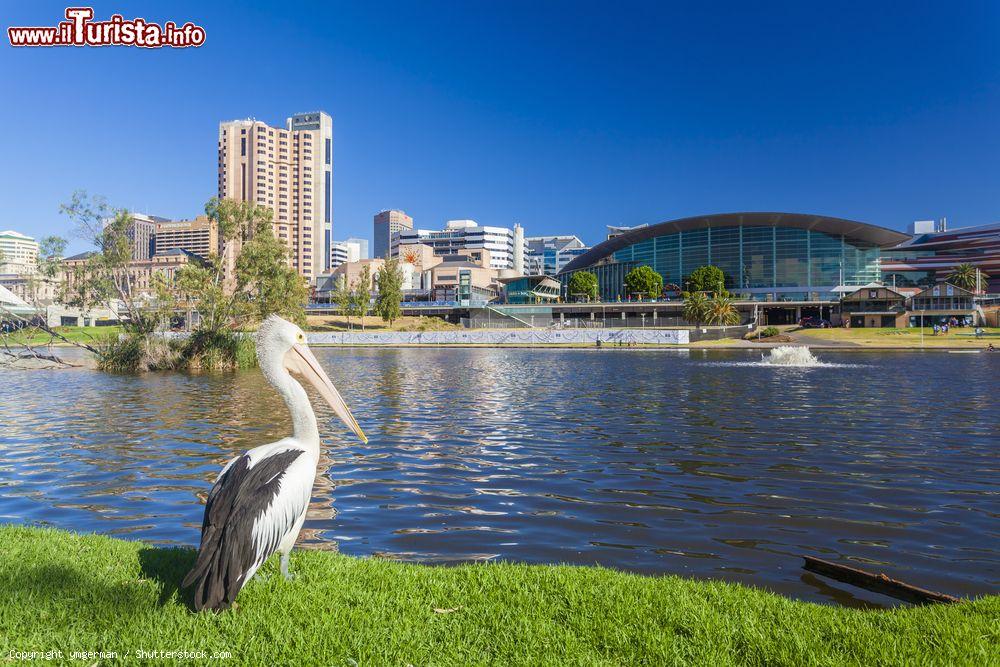 Immagine Veduta del Riverbank Precinct di Adelaide, sud dell'Australia. Qui, su un'area di 380 ettari, ci sono negozi, centri culturali e espositivi  - © ymgerman / Shutterstock.com