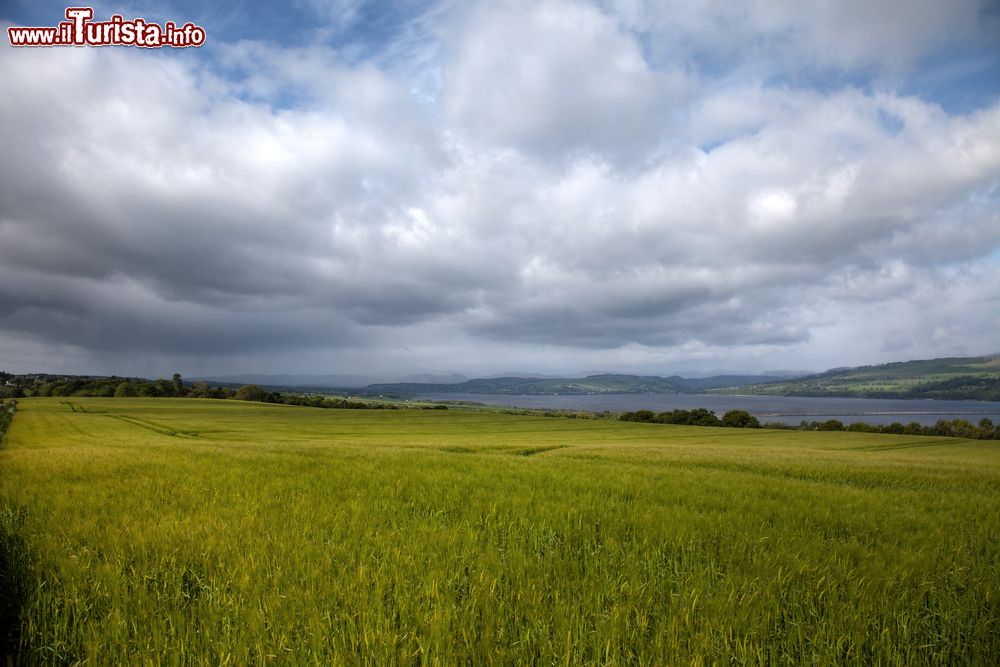 Immagine Veduta della Black Isle attraverso l'estuario del fiordo di Dornoch, Scozia. Siamo nella penisola delle Highlands scozzesi.