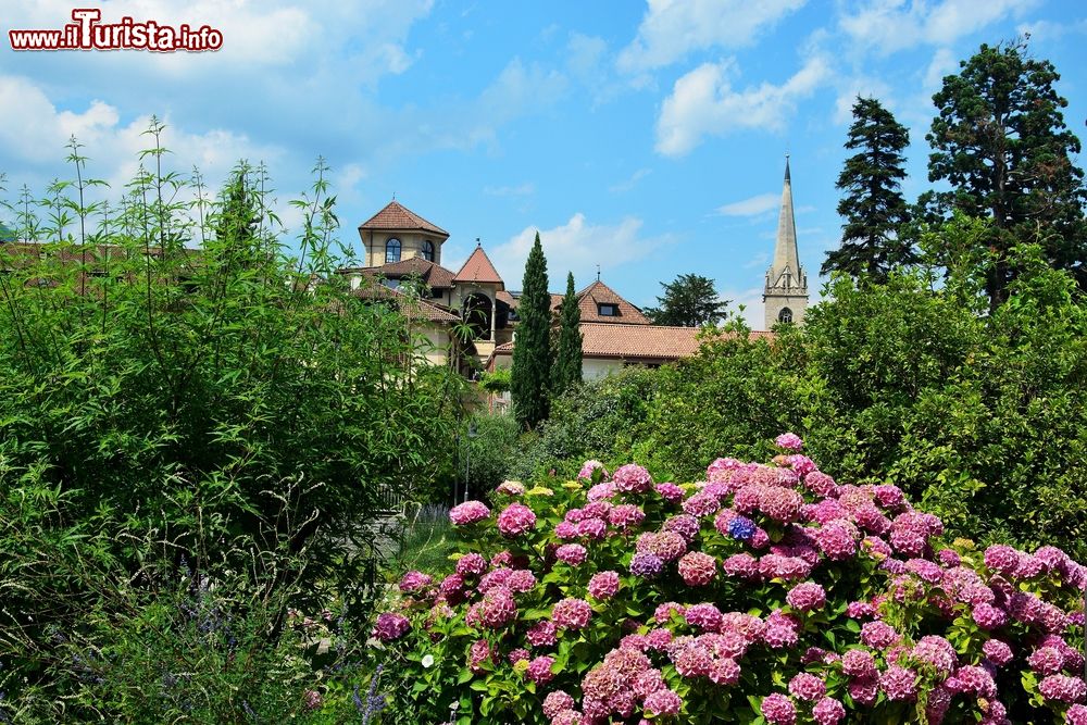 Immagine Veduta della chiesa di Caldaro, Trentino Alto Adige. Spicca immediatamente per il suo alto e slanciato campanile in stile gotico che si innalza per oltre 72 metri: la chiesa parrocchiale di Santa Mari Assunta conserva al suo interno preziose decorazioni barocche come gli affreschi della volta e l'organo ligneo del 1792.