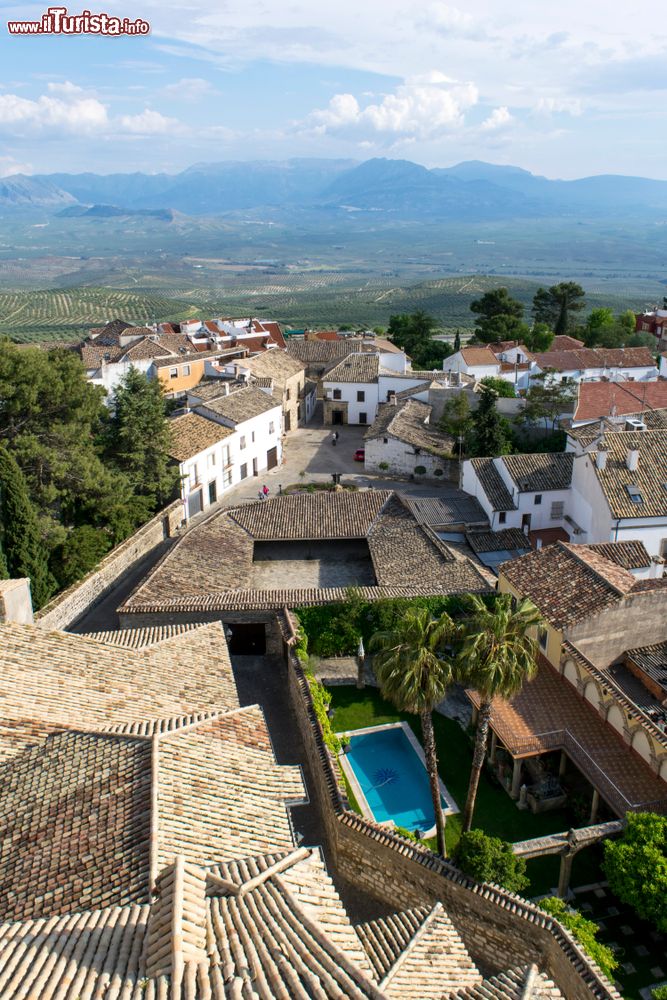 Immagine Veduta della città di Baeza dalla torre della cattedrale, Spagna: nella fotografia una piscina, i tetti delle case e i campi di ulivi.