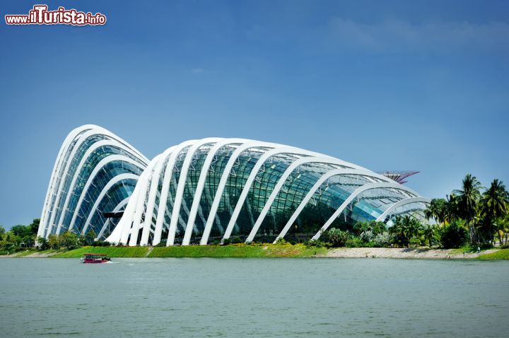 Immagine Veduta della Cloud Forest e Flower Dome ai Gardens by the Bay a Singapore - © 216624295 / Shutterstock.com