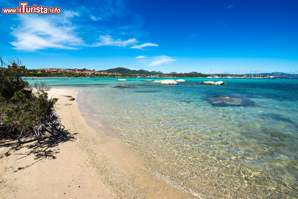 Immagine Veduta della spiaggia di Bahas vicino a Porto Rotondo in Sardegna, provincia di Olbia