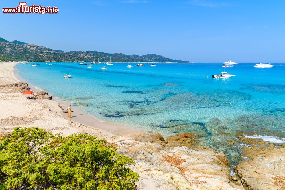Immagine Veduta della spiaggia di Saleccia vicino a Saint Florent, Corsica, Francia. Mare cristallino per le acque che lambiscono questa lingua di sabbia circondata da un paesaggio mozzafiato.