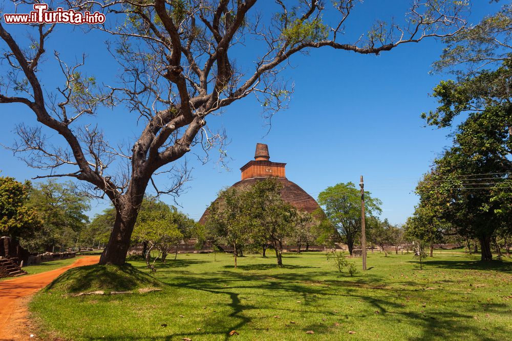 Immagine Veduta dell'antico stupa di Jetavan nella città di Anuradhapura, Sri Lanka. Questo monumento in mattoni rossi raggiunge i 70 metri di altezza.