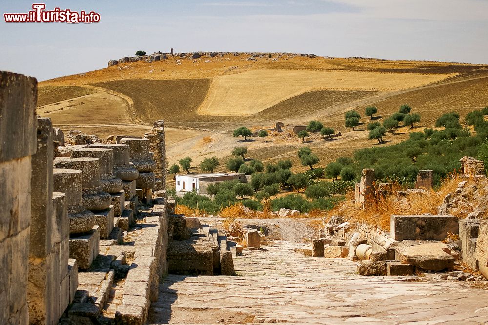 Immagine Veduta delle rovine di Dougga con colline dorate sullo sfondo, Tunisia.