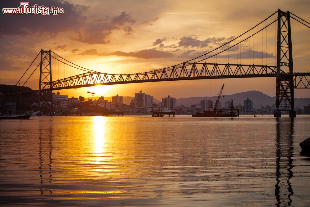 Immagine Veduta dell'Hercilio Luz Bridge a Florianopolis, Brasile, con il tramonto. Costruito a partire dal1920, venen inaugurato e aperto al traffico nel 1926. Questo ponte sospeso si estende per 820 metri.