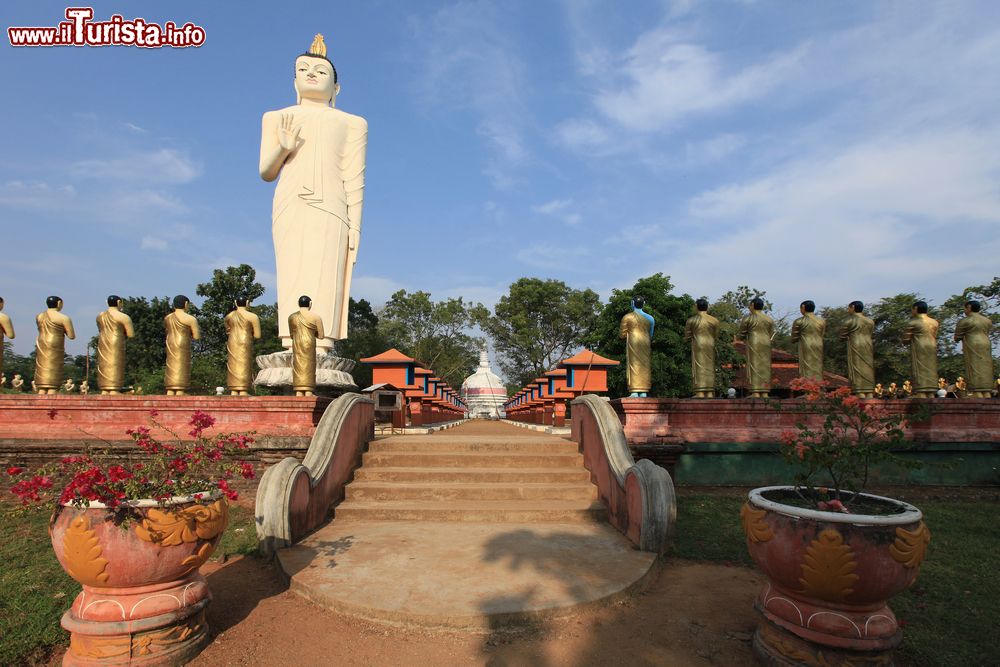 Immagine Veduta dello stupa di Ruvanvelisaya, Anuradhapura, Sri Lanka. Questo imponente tempio buddhista, voluto da re Dutugemunu nel 164 a.C, è completamente rivestito di calce bianca ed è protetto da un muro decorato con un fregio raffigurante centinaia di elefanti disposti l'uno accanto all'altro.