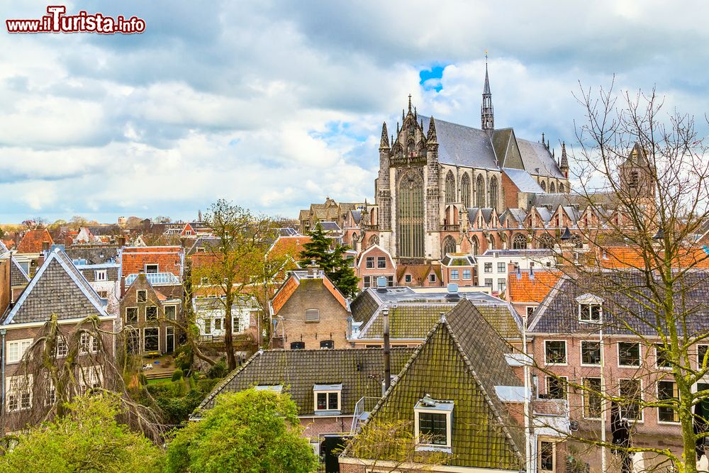 Immagine Veduta di Leiden con la cattedrale di San Pietro, Olanda.