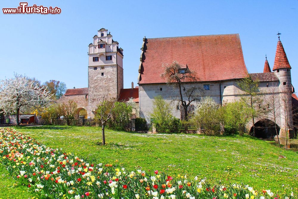 Immagine Veduta di un antico castello nella città di Donauworth, Germania. In primo piano, un prato con fiori colorati.