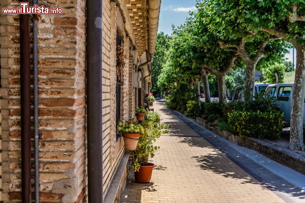 Immagine Veduta di una strada di Olite, Navarra, Spagna: siamo in un borgo medievale ospitato nella provincia di Navarra.