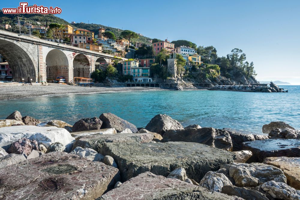 Immagine Veduta di Zoagli con le sue case colorate e la spiaggia di ciottoli dalle rocce del molo (Liguria).