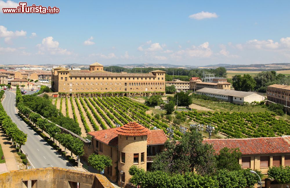 Immagine Veduta panoramica dal Palacio de los Reyes de Navarra sulla città di Olite, Spagna, e sui suoi vitigni.