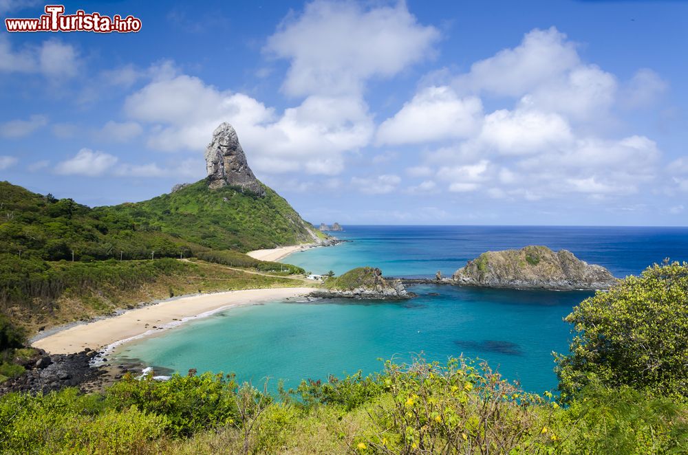 Immagine Veduta panoramica dall'alto di una spiaggia sull'isola di Fernando de Noronha, Brasile.