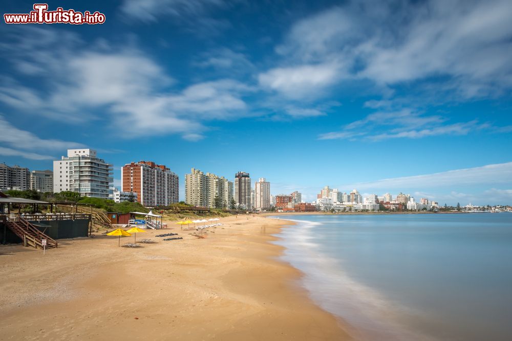 Immagine Veduta panoramica della spiaggia di Punta del Este con la skyline sullo sfondo, Uruguay.