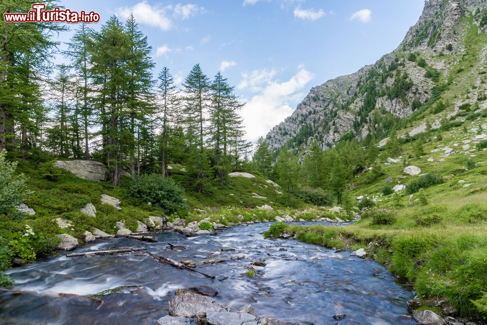 Immagine Veduta panoramica della Val Veny non distante da Pré-Saint-Didier, Valle d'Aosta. E' situata ai piedi del massiccio del Monte Bianco, a sud di Courmayeur.