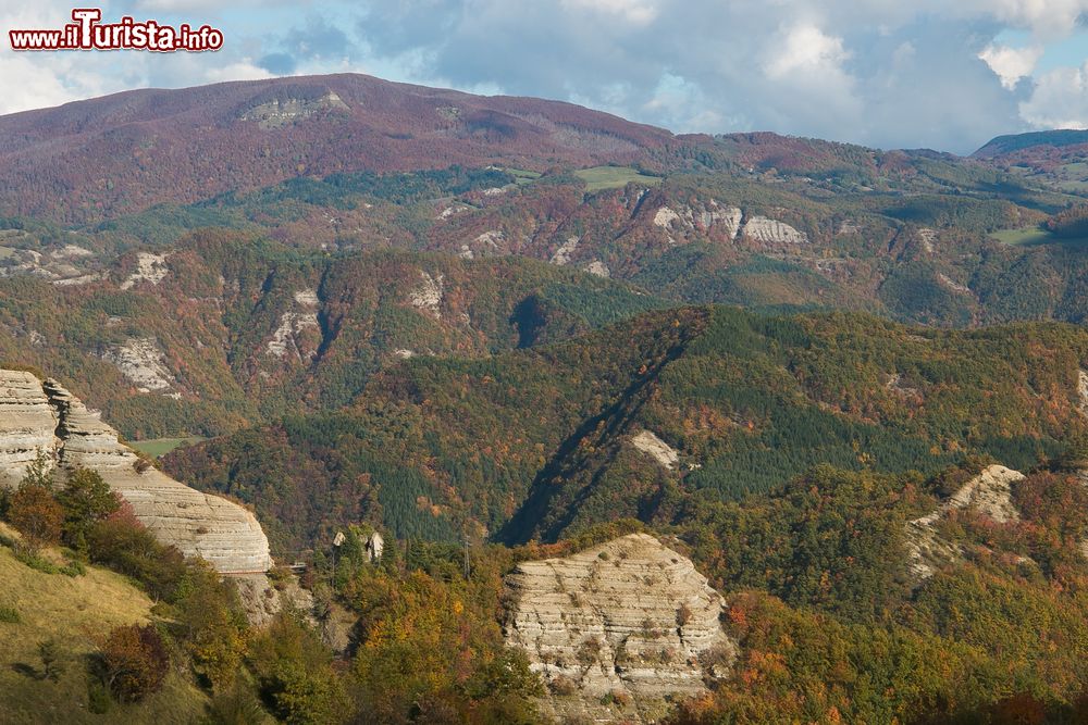 Immagine Veduta panoramica delle Foreste Casentinesi nei pressi di Camaldoli, Toscana. Questa frazione del Comune di Poppi fa parte del Parco Nazionale delle Foreste Casentinesi.