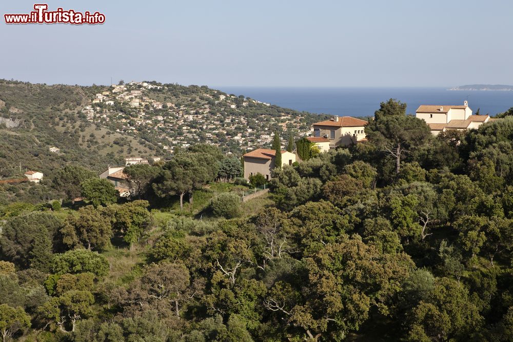 Immagine Veduta panoramica dell'isola di Port Cros, Francia. Siamo nella più selvaggia e incontaminata delle isole d'Oro. Cuore di uno dei primi parchi nazionali di Francia, ha saputo preservare un ambiente marittimo e terrestre di eccezionale ricchezza e qualità.