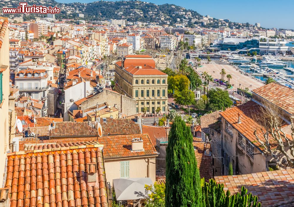 Immagine Veduta panoramica di Cannes con la Promenade de la Croisette e il vecchio porto, Francia. Situata sulla Costa Azzurra, questa località turistica è nota a tutti per il Festival Internazionale del Cinema che si svolge ogni anno nel mese di maggio.