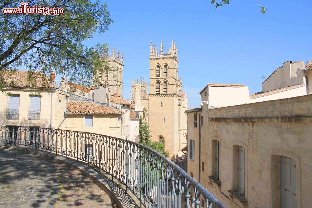 Immagine Veduta panoramica sul campanile della cattedrale di San Pietro a Montpellier, Francia.