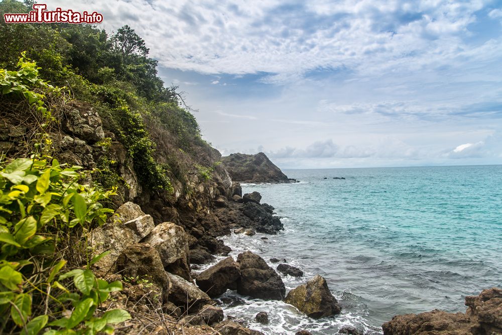 Immagine Veduta posteriore dell'isola del Grano Dorato all'arcipelago di Coiba, Panama.