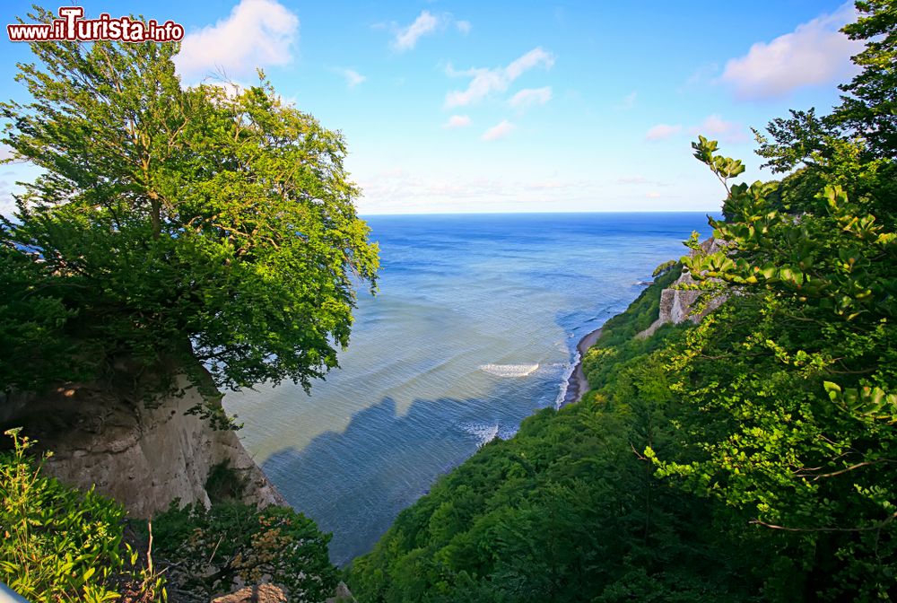 Immagine Veduta sulle scogliere di gesso con la foresta di faggi nel National Park Jasmund, Meclemburgo-Pomerania (Germania).