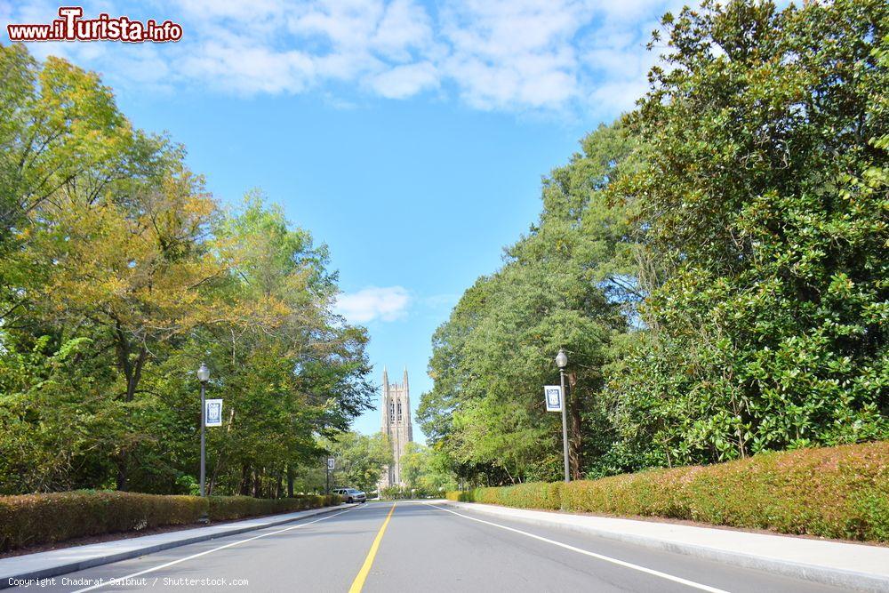 Immagine Veduta della strada per la Duke University con la cattedrale Duke sullo sfondo, Durham, Carolina del Nord - © Chadarat Saibhut / Shutterstock.com