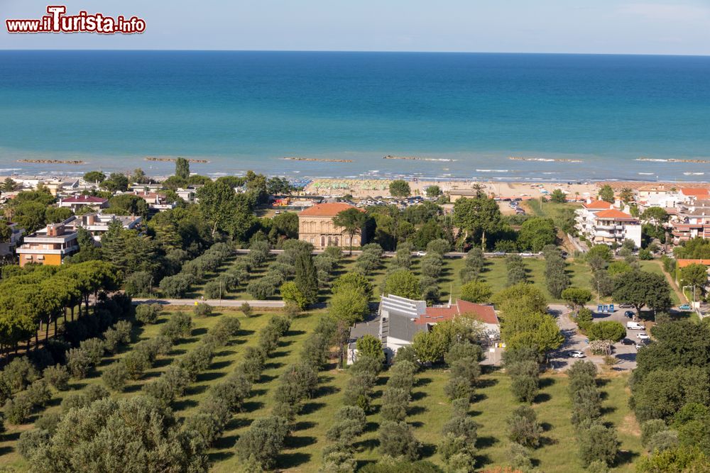 Immagine Veduta sugli uliveti lungo la costa adriatica di Roseto degli Abruzzi, Italia. Questa bella cittadina è situata a 5 metri di altitudine sul livello del mare fra le foci del fiume Vomano e Tordino.