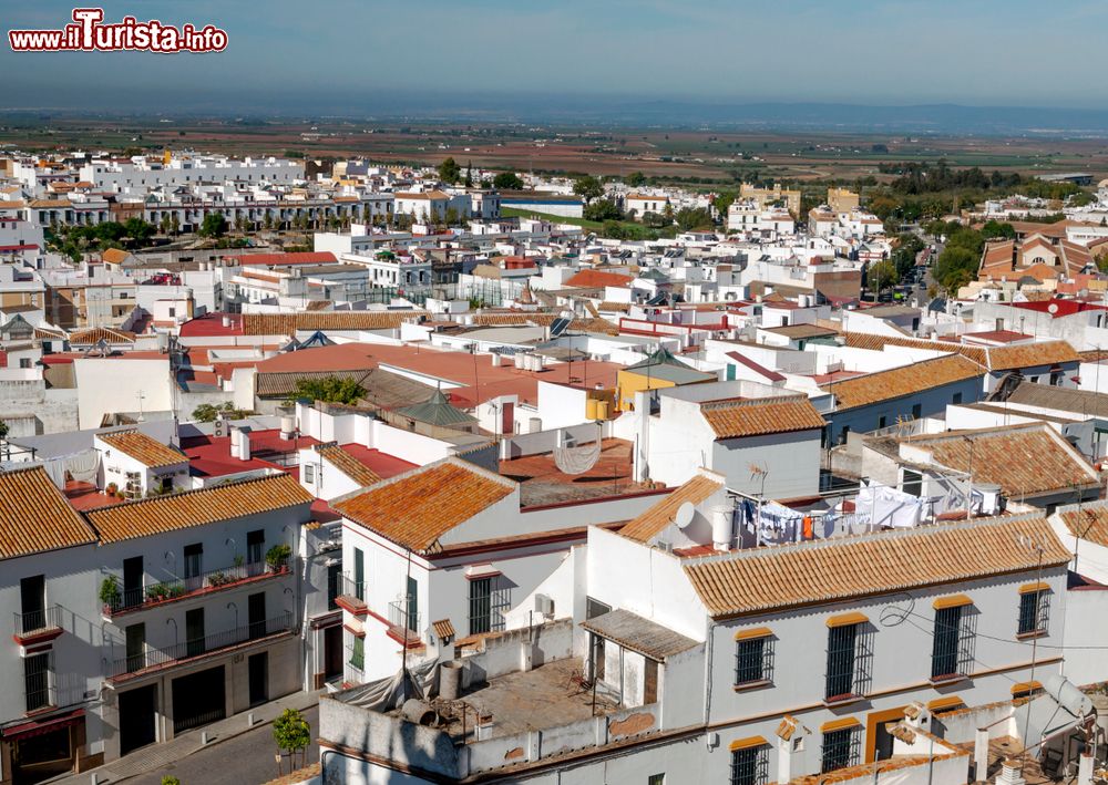 Immagine Veduta sui tetti di Carmona, Andalusia (Spagna).