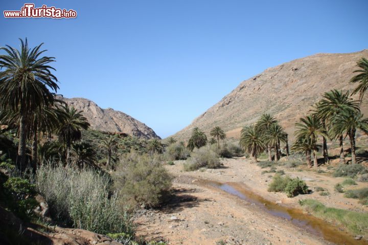 Immagine Panorama di Vega del Rio Palmas, Fuerteventura, Spagna - Così rustico da non sembrare appartenere alle zone fatte di spiagge e mare, eppure, questo posto si trova proprio nelle canarie. Famoso per via della sua particolare atmosfera: primitiva e per certi versi dimenticata. In realtà è tutt'altro che abbandonata: il suo aspetto nasconde le tipiche piante autoctone per cui è conosciuta Vega de Rio Palmas e paesaggi che ricordano un po' i deserti texani. 