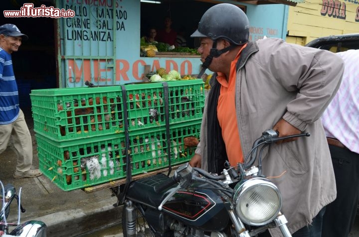 Immagine La carne di pollo, insieme a riso, patate e banane platano, rappresenta un alimento essenziale della cucina e della dieta della Repubblica Dominicana. Spesso i venditori arrivano dalle campagne di Jarabacoa per rifornire i negozi del centro.