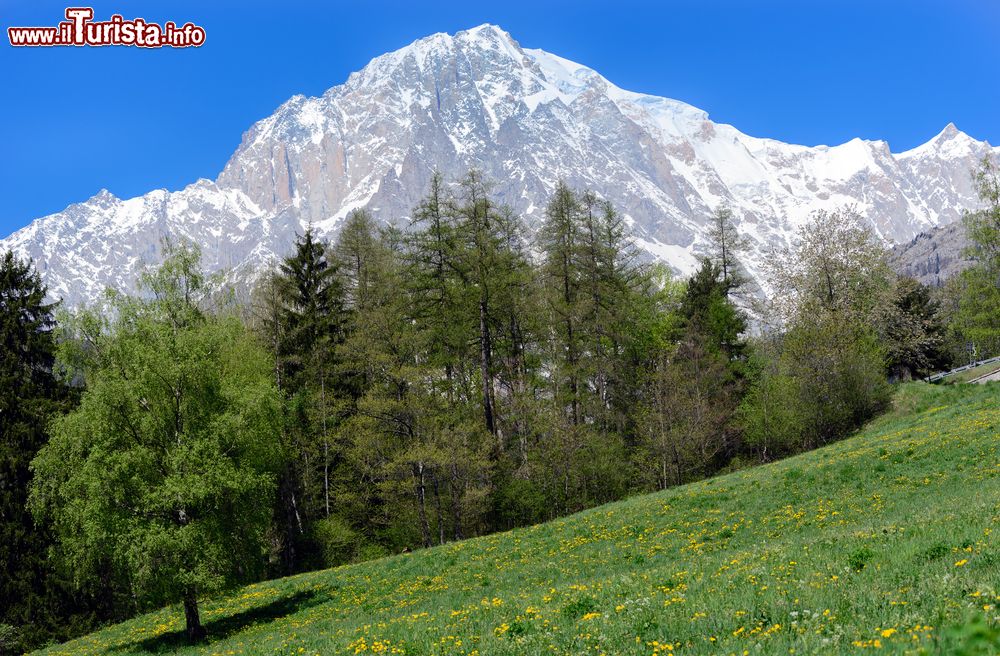 Immagine Versante italiano del Monte Bianco, Valle d'Aosta, Italia. Situato nel settore delle Alpi nord occidentali, il Bianco è sullo spartiacque fra la Valle d'Aosta e l'Alta Savoia.