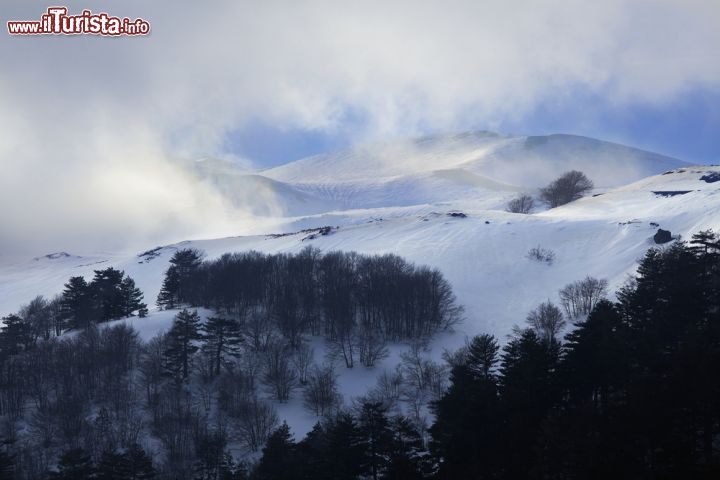 Immagine Il versante orientale dell'Etna dopo una nevicata invernale. Da Sant'Alfio si può salire in automobile fino a Mareneve, dove è possibilie praticare lo sci - © Bildagentur Zoonar GmbH / Shutterstock.com