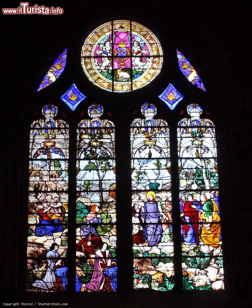 Immagine Vetrata istoriata della cattedrale di Santa Maria a Bayonne, Nuova Aquitania (Francia) - © Pecold / Shutterstock.com