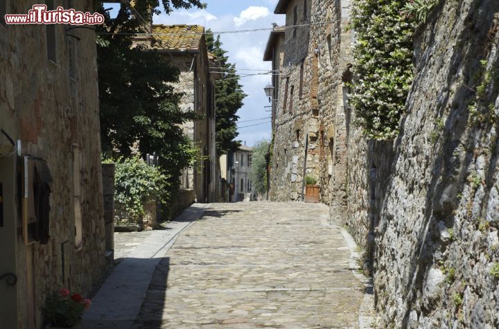 Immagine Una via acciottolata tipica di Monteriggioni (Toscana) - Così come tutto il borgo medievale che caratterizza la località, anche le stradine e le viuzze profumano di un passato storico e urbano che qui, viene fuori in tutta la sua potenza visiva. Dolci i ciottoli e maestose le mura, si ha la sensazione di camminare in un'epoca antica e affascinante al tempo stesso. Come si vede dall'immagine anche le case, fatte di pietra, subiscono l'aria mistica ma sublime - © faberfoto-i / Shutterstock.com