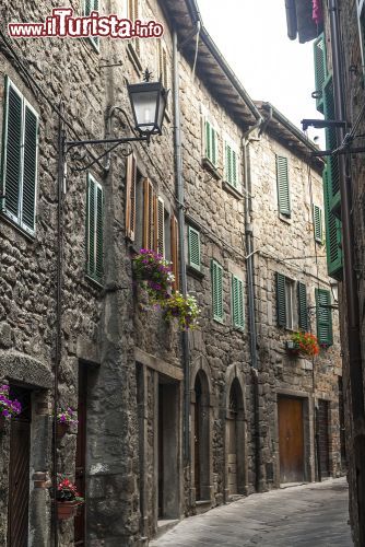 Immagine Una via del centro medievale di Abbadia San Salvatore, il borgo si trova sui fianchi del monte Amiata in Toscana - © Claudio Giovanni Colombo / Shutterstock.com