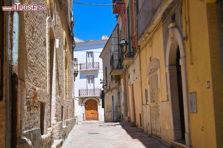 Immagine Una tipica via del centro storico di San Severo, Puglia - La bellezza del centro storico di San Severo, bellissimo comune pugliese sito nella provincia di Foggia, ha valso alla città il prestigioso titolo di "città d'arte". In questa foto si può notare la bellezza di questo centro storico con le sue stradine in pietra, le case tipicamente sviluppate in altezza tra le luci e le ombre del caldo sole pugliese. - © Mi.Ti. / Shutterstock.com