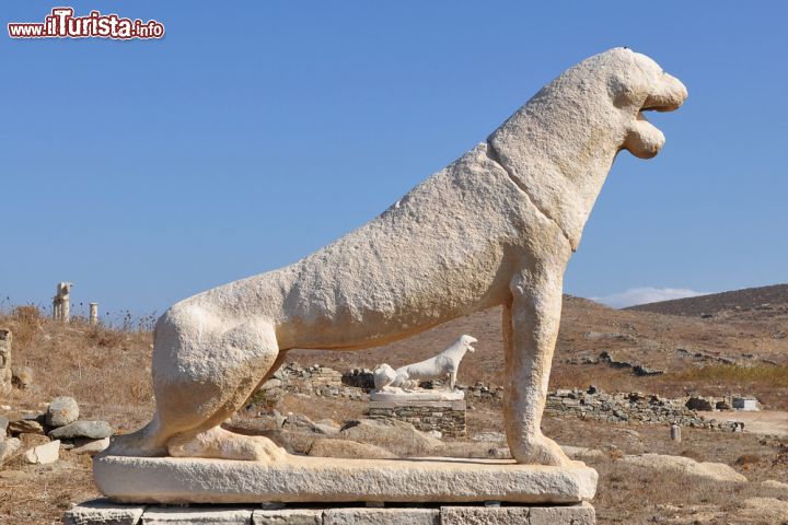Immagine Via dei Leoni a Delos, Grecia. E' uno dei luoghi più caratteristici dell'isola di Delos: la famosa "terrazza dei leoni" ospita 5 delle sedici statue originarie in marmo raffiguranti i leoni, famosi guardiani dell'isola. Furono scolpiti dal popolo dei Nessi in onore del dio Apollo verso la fine del VII° secolo a.C.