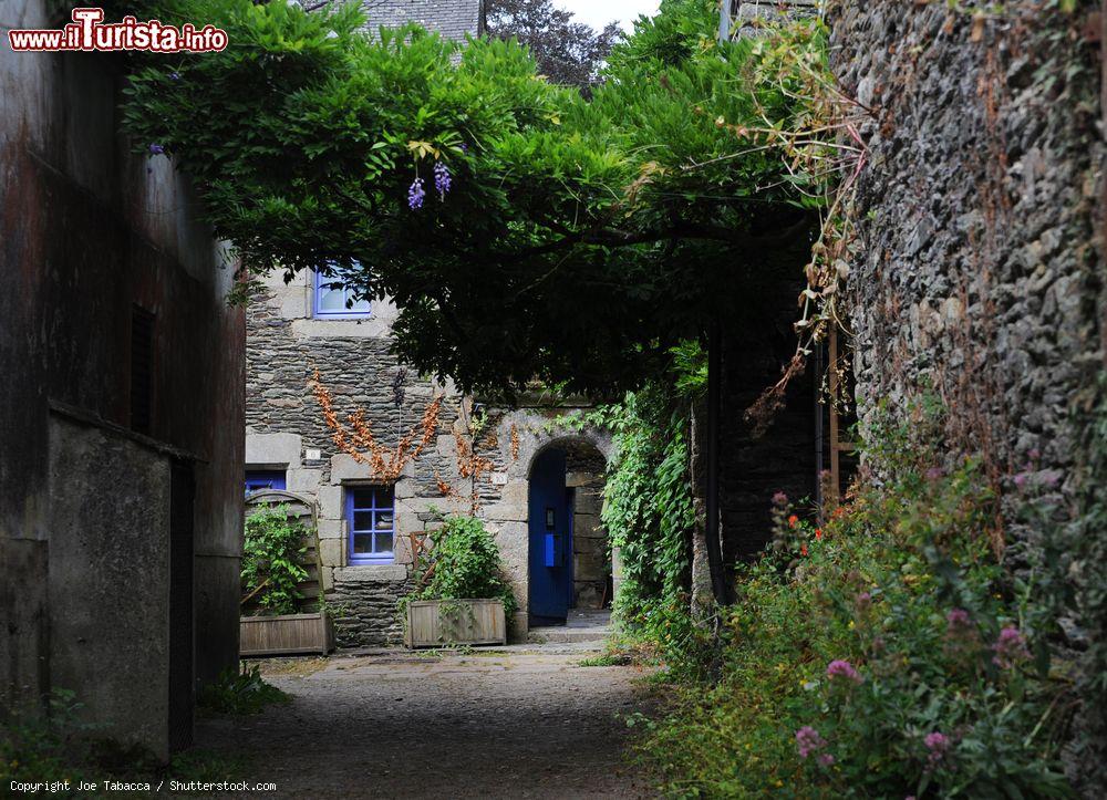 Immagine Uno scorcio di Rochefort en Terre: la sua anima, è rimasta semplice e preferisce far prevalere il proprio cuore di villaggio che la storia ha preservato su quello sperone roccioso in cui sorge incarnandosi piacevolmente in ogni edificio, piazzetta (Place du Puits), stradina (Rue Saint-Michel), bastione e bottega glorificati dalla strategica disposizione di gerani, edere, glicini e altri variopinti fiori capaci di dare colore e garbo all’elemento costruttivo predominante, la pietra, incrementata dal legno: per tale floreale corredo, il comune è entrato nell’Olimpo particolare delle “Villes et Villages Flueris” transalpini - © Joe Tabacca / Shutterstock.com