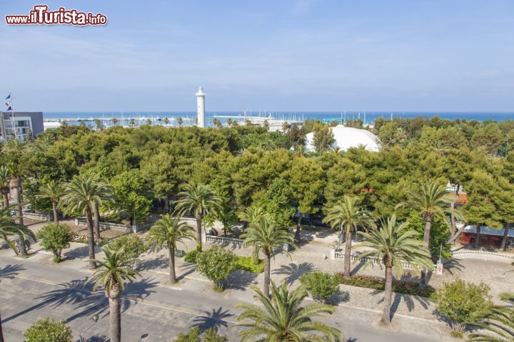 Immagine Viale alberato di San Benedetto del Tronto, Marche. Sullo sfondo, il Mare Adriatico - © 190361702 / Shutterstock.com