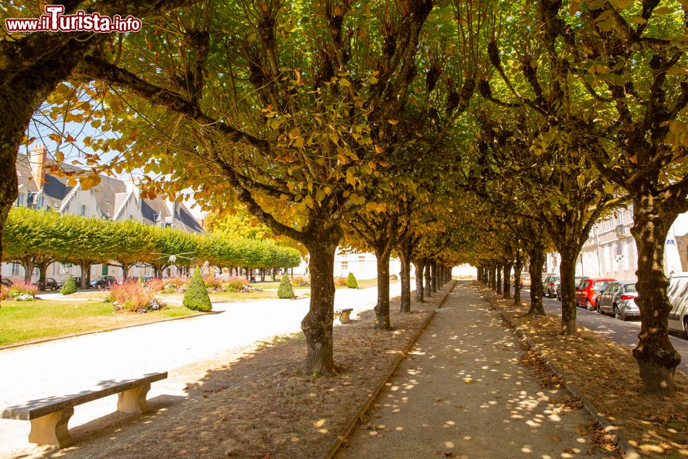 Immagine Un viale alberato nel centro di Nevers, Borgonga-Franca Contea (Francia), all'inizio dell'autunno.