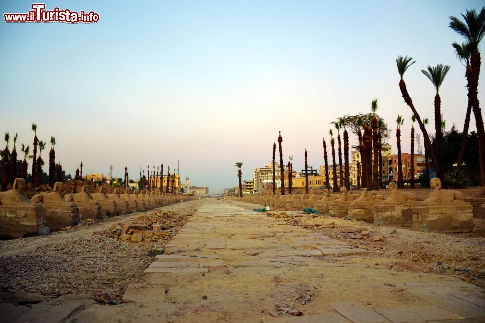 Immagine Il Viale delle Sfingi è lungo 3 km e collega il complesso dei templi di Karnak al Tempio di Luxor, in Egitto.