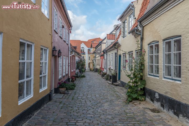 Immagine Un'immagine di un vicolo nella città di Aalborg (Danimarca) tra le case sempre ben curate del centro storico - foto © Arth63 / Shutterstock.com