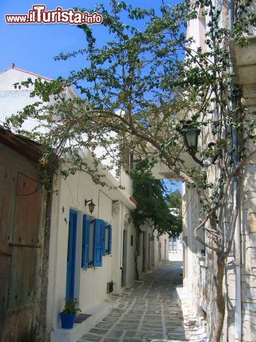Immagine Vicolo in un villaggio a Naxos, Grecia - Una caratteristica viuzza greca in un centro abitato di Naxos, l'isola più grande delle Cicladi © CJPhoto / Shutterstock.com