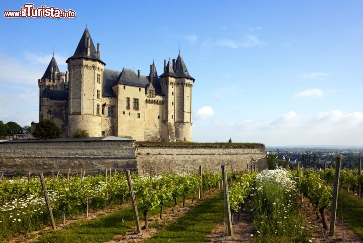 Immagine Vigneti ai piedi del Castello di Saumur. In questa zona della valle della Loira si producono molti vini. Legati alla città ricordiamo il Saumur Brut e il Saumur Champigny - © Oliver Hoffmann / Shutterstock.com