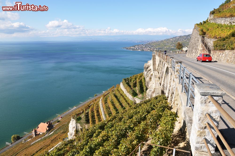 Immagine Vigneti affacciati sul lago di Ginevra, Lavaux, Svizzera.