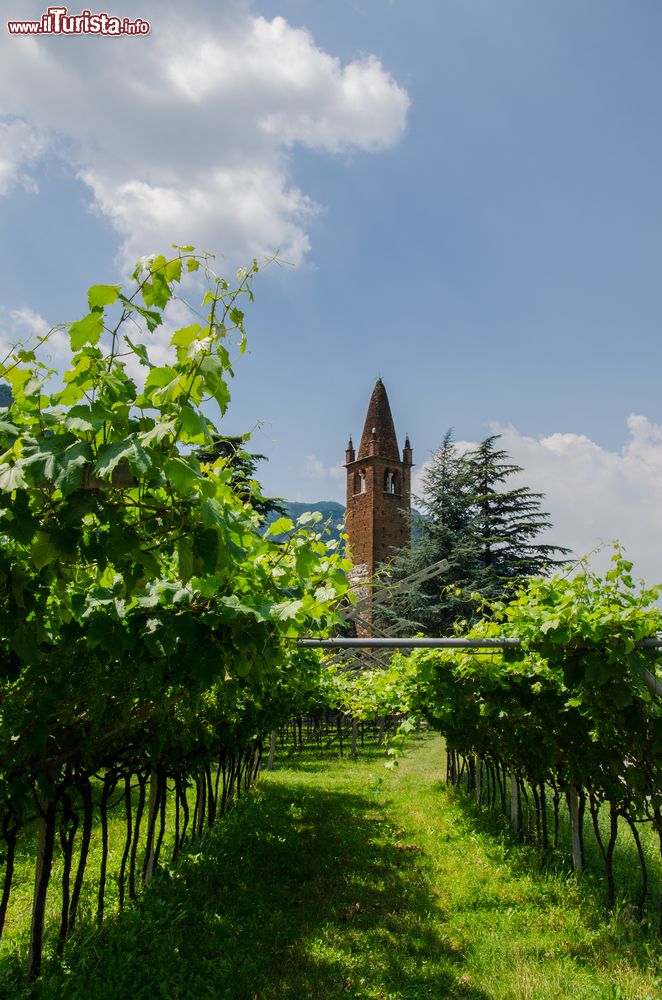 Immagine Vigneti della Val d'Adige e chiesa  del centro di Ala in Trentino