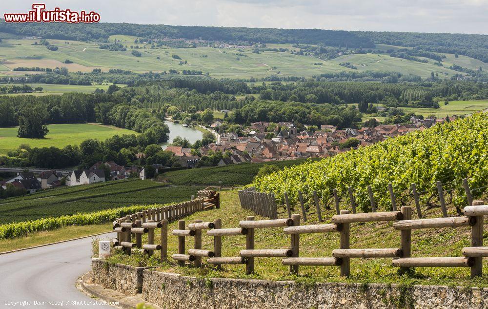 Immagine Vigneti di Moet et Chandon nei pressi di Hautvillers, Epernay, Francia - © Daan Kloeg / Shutterstock.com
