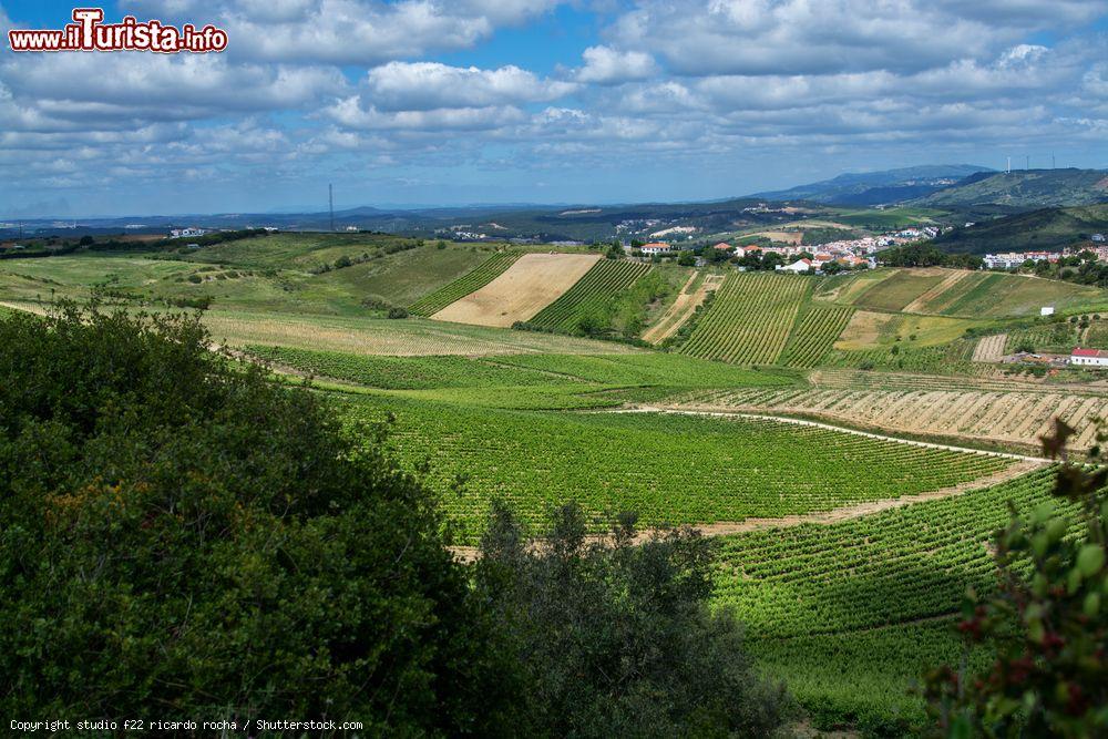 Immagine I vigneti di Torres Vedras visti dall'alto, Portogallo - © studio f22 ricardo rocha / Shutterstock.com