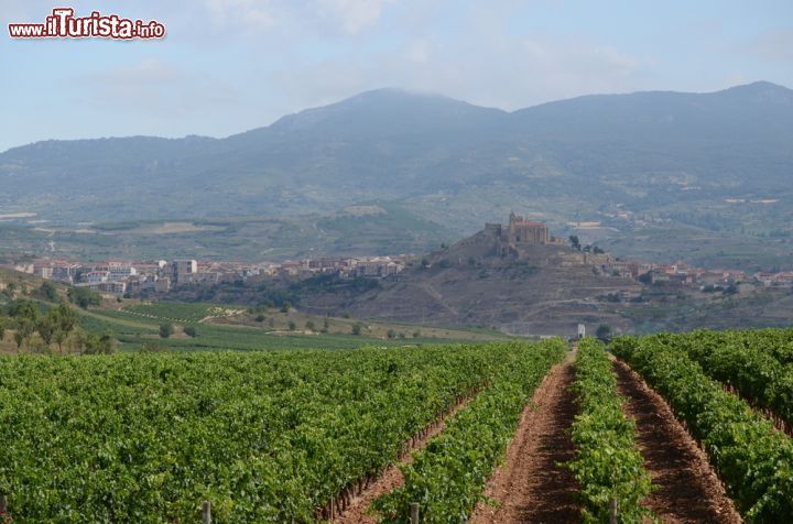 Immagine Vigneti nella regione di La Rioja, Spagna. E' la patria del vino spagnolo più conosciuto a livello internazionale.