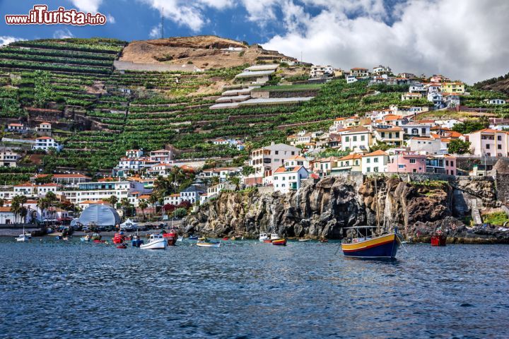 Immagine Il villaggio Camara de Lobos, nella parte centro-occidentale di Madeira (Portogallo) - È conosciuta come la località dei pescatori, grazie a barchette piccole e molto colorate. A ricordarlo è anche il nome che omaggia la foca monaca, la quale nei tempi scorsi rimase a lungo nei suoi mari. Rinomato il piccolo borgo soprattutto per il pesce spada, qualità della pesca marittima molto apprezzata nella tradizione locale e gastronomica di Camara de Lobos. La bellissima baia è anche spesso soggetto preferito da pittori (Churchill ne fece un dipinto negli anni '50) - © Vlada Z / Shutterstock.com